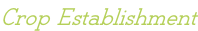 Crop Establishment